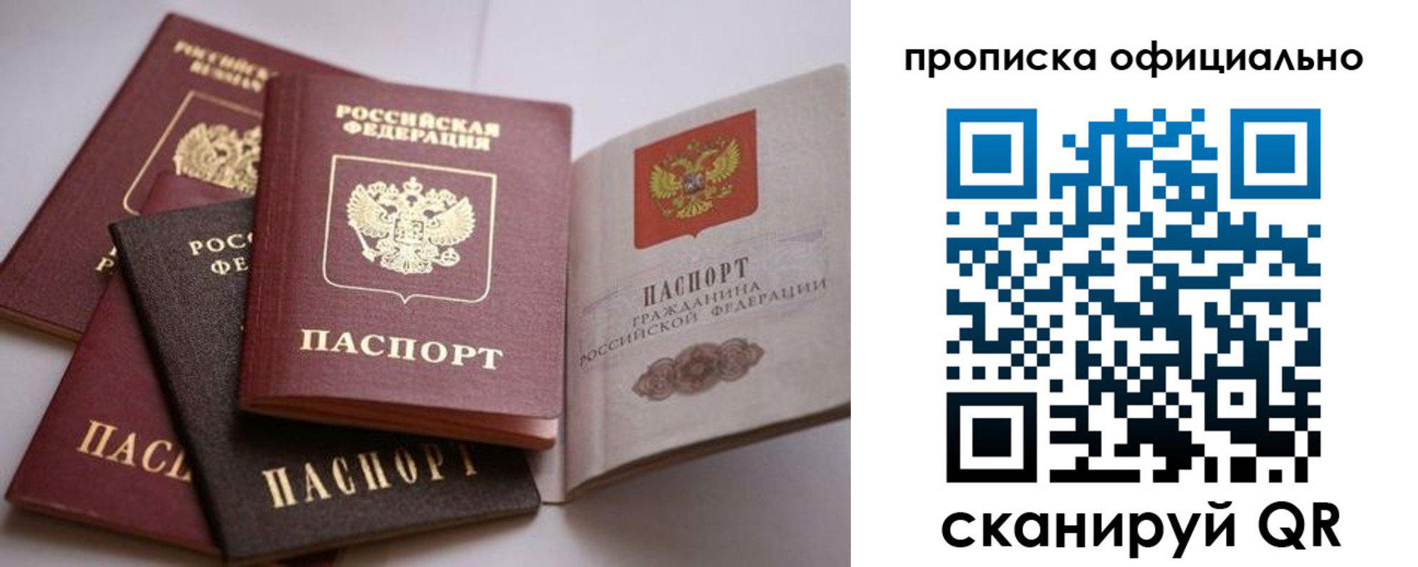 временная регистрация поиск в Белгородской области